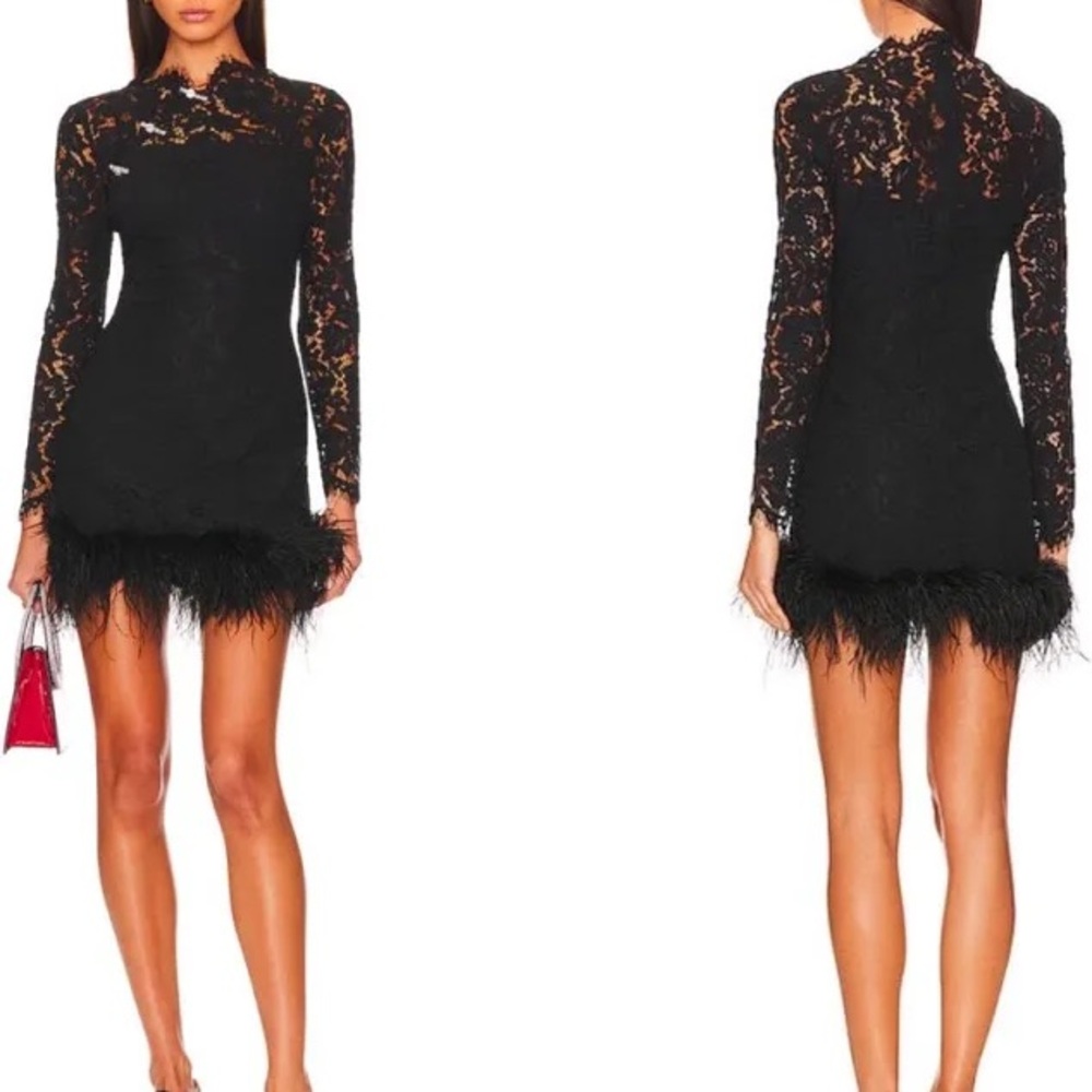 Sau Lee Mara Lace and Feather Dress size 4
